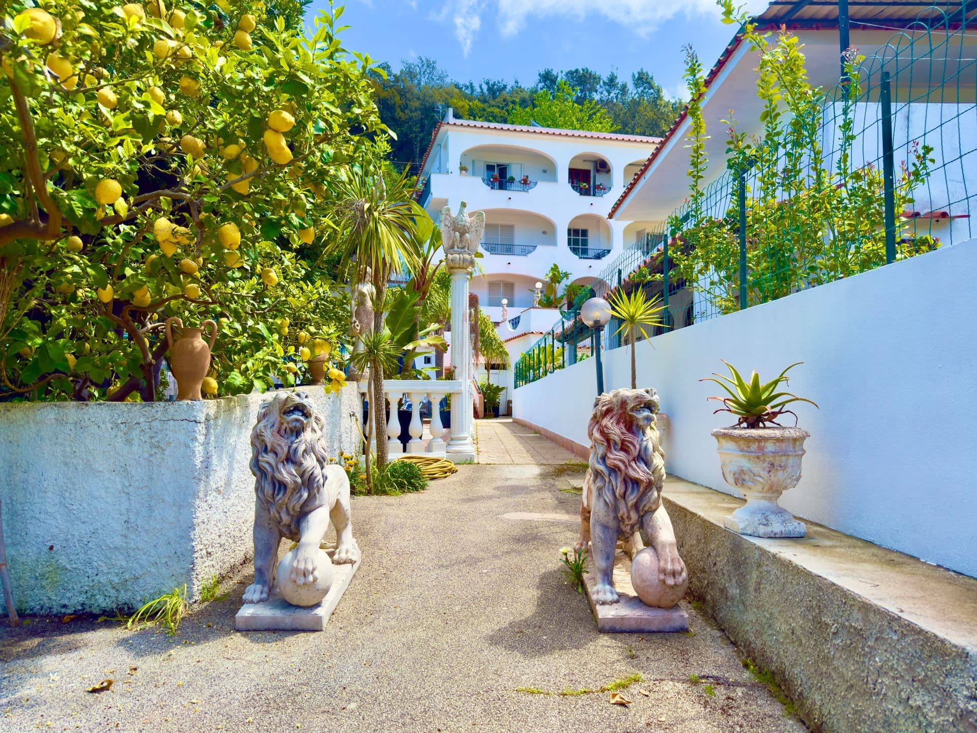 Hotel Villa Fiorentina - Ingresso con statue e limoni, Ischia